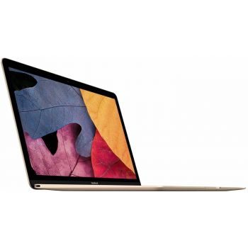 Image of MacBooks category